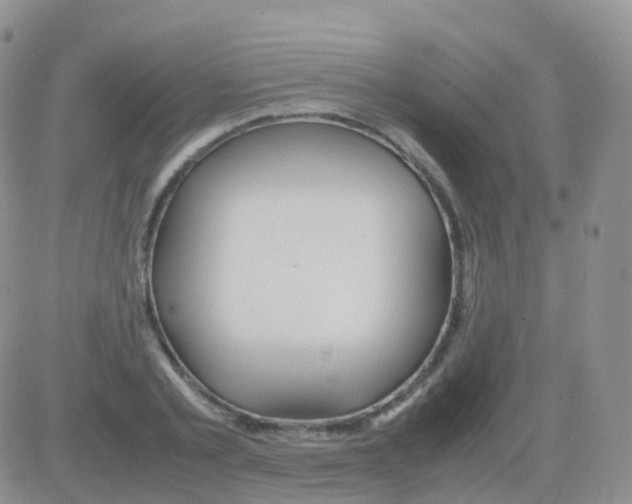 X0000082740789200702240012