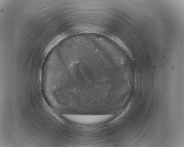 X0000082740790200702240012