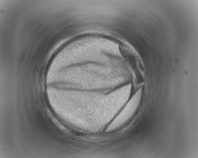 X0000082740791200702240012