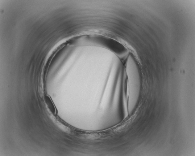 X0000082740792200702240012