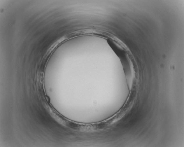 X0000082740793200702240011