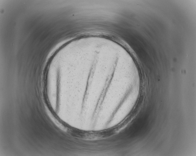 X0000082740795200702240011