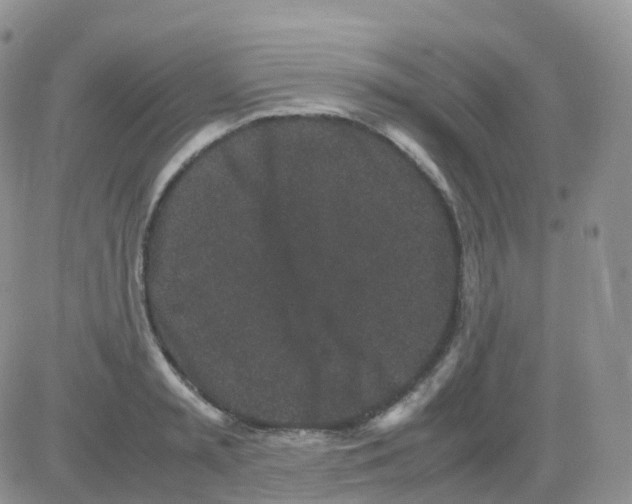 X0000082740797200702240011