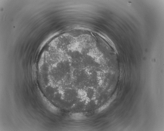 X0000082740798200702240011