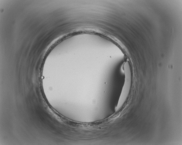 X0000082740799200702240011