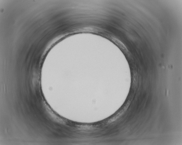 X0000082740800200702240011