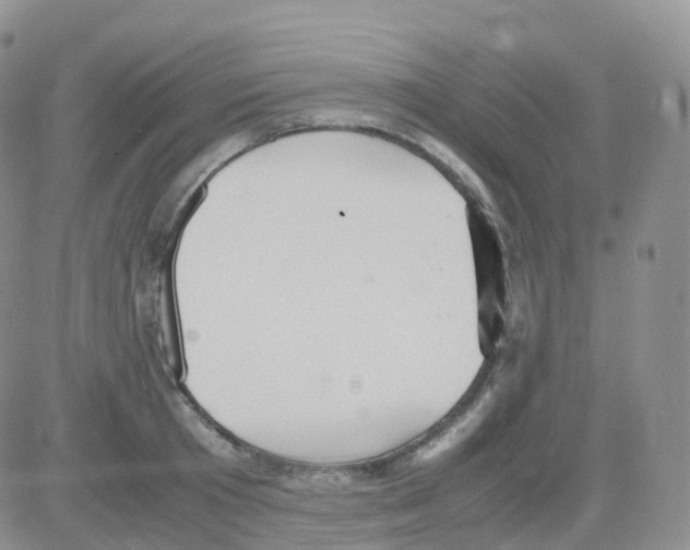 X0000082740801200702240011