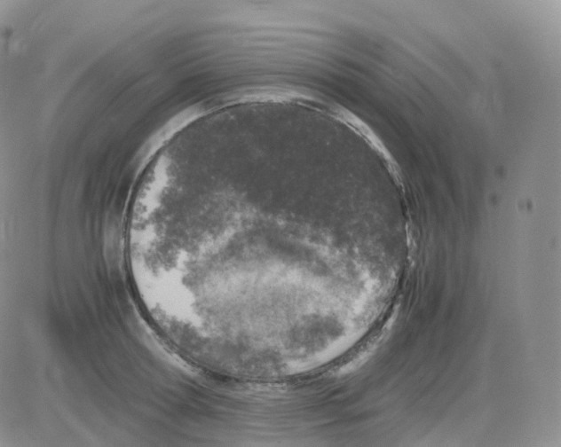 X0000082740802200702240011