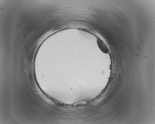 X0000082740803200702240011