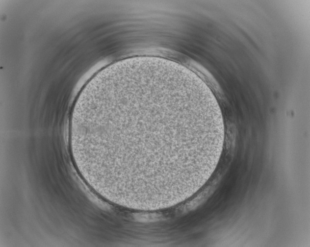 X0000082740804200702240011