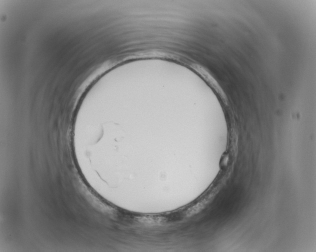 X0000082740805200702240011