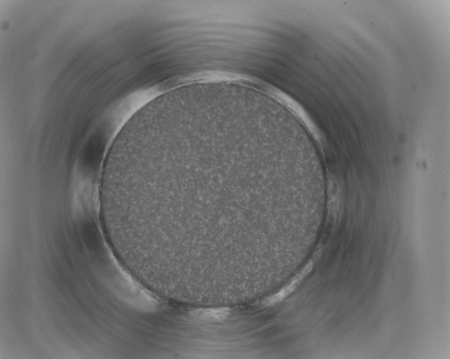 X0000082740810200702240011