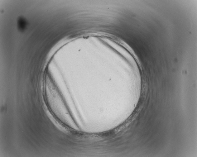 X0000082740811200702240011