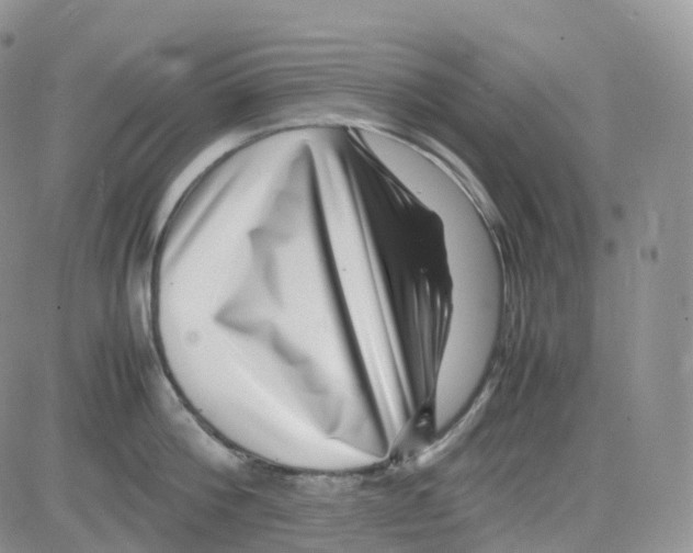 X0000082740812200702240011