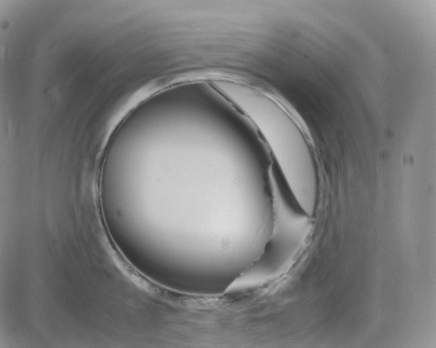 X0000082740813200702240011