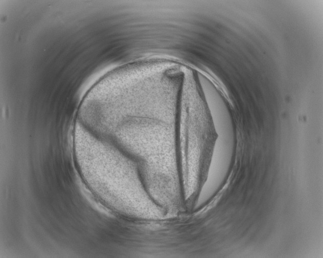 X0000082740814200702240011