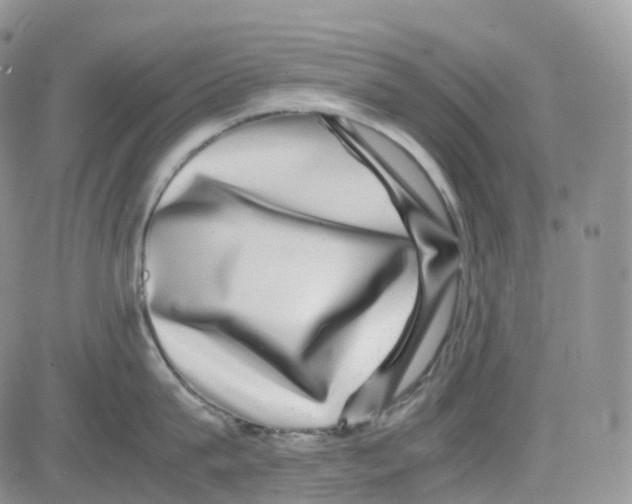 X0000082740815200702240011