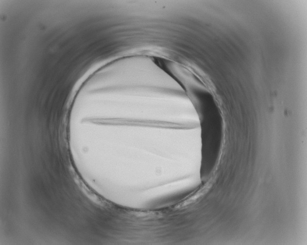 X0000082740816200702240011