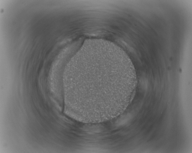 X0000082740817200702240010