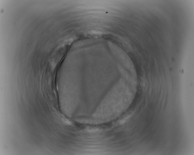 X0000082740818200702240010