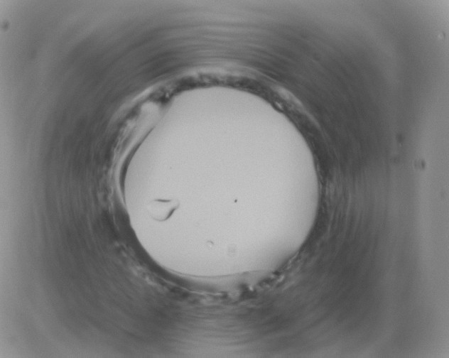 X0000082740822200702240010