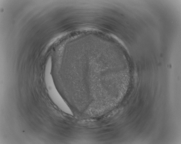 X0000082740823200702240010