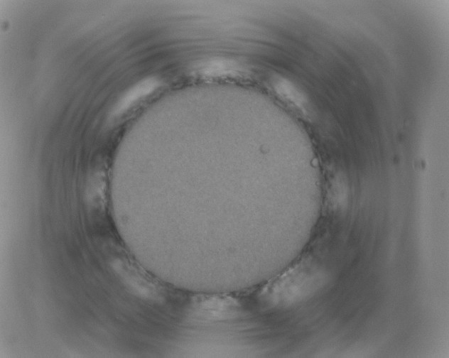 X0000082740824200702240010