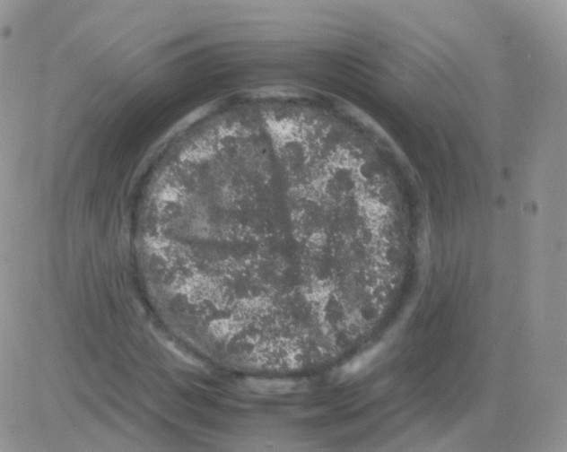 X0000082740825200702240010