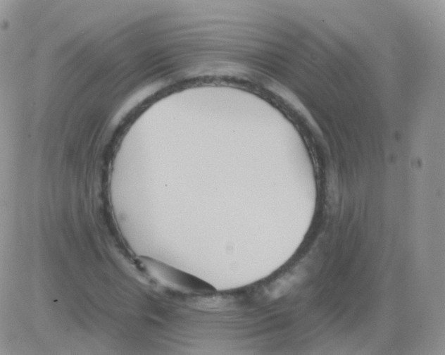 X0000082740826200702240010