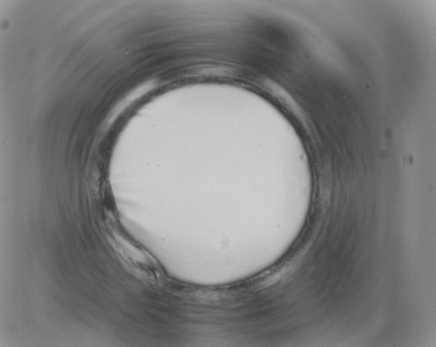 X0000082740827200702240010