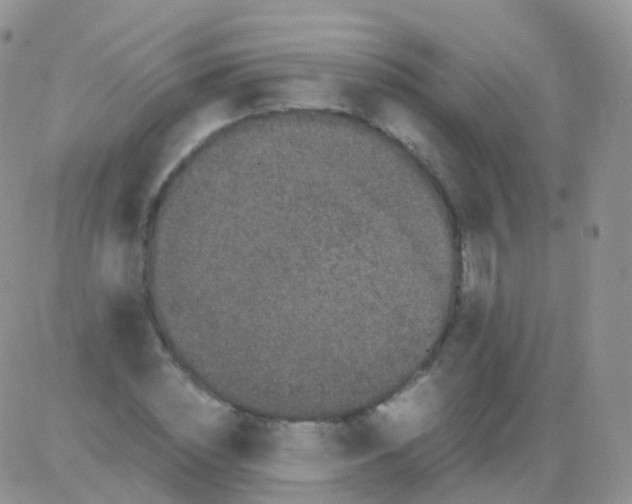 X0000082740828200702240010