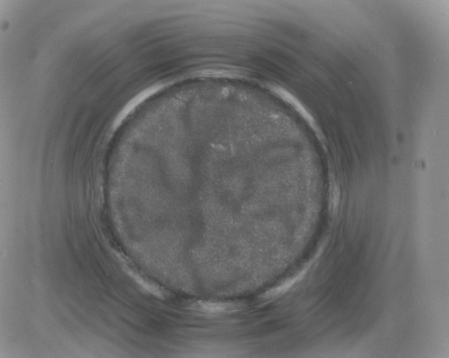 X0000082740829200702240011