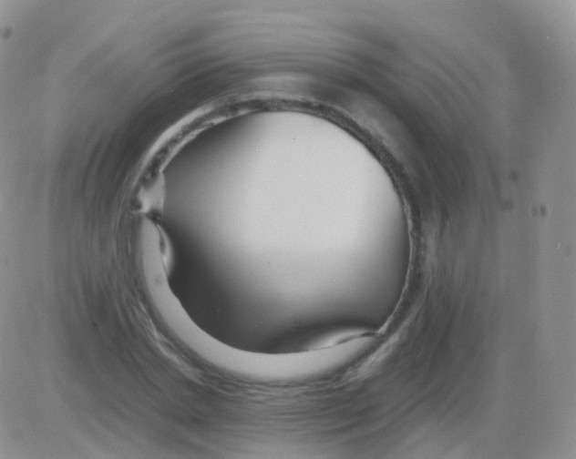 X0000082740830200702240011