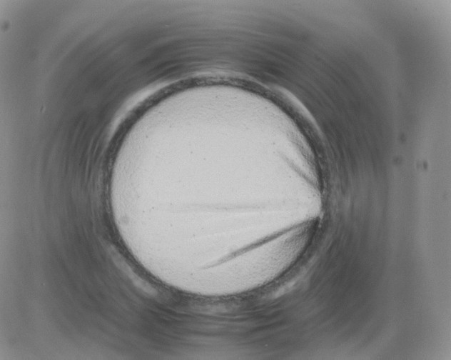 X0000082740831200702240011