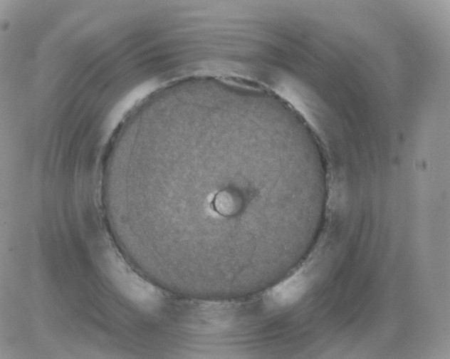 X0000082740832200702240011