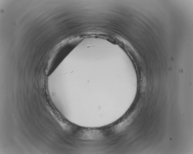 X0000082740833200702240011