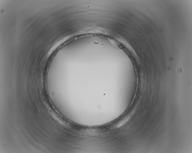 X0000082740834200702240011