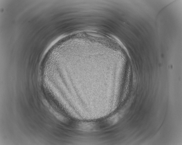 X0000082740835200702240011