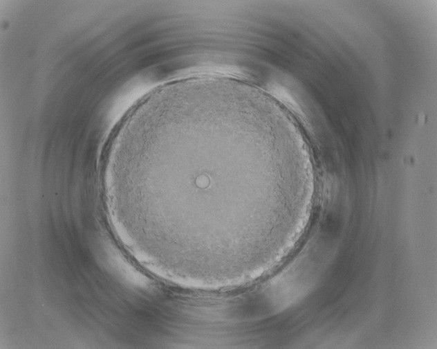 X0000082740836200702240011