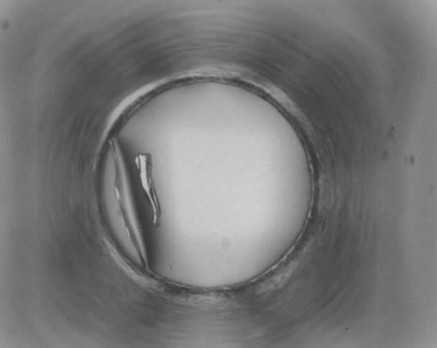 X0000082740838200702240011