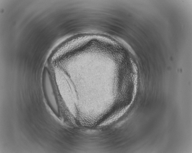 X0000082740839200702240011