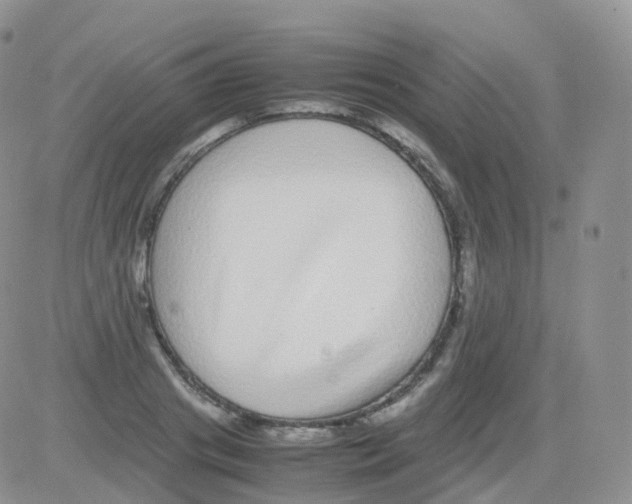 X0000082740841200702240011