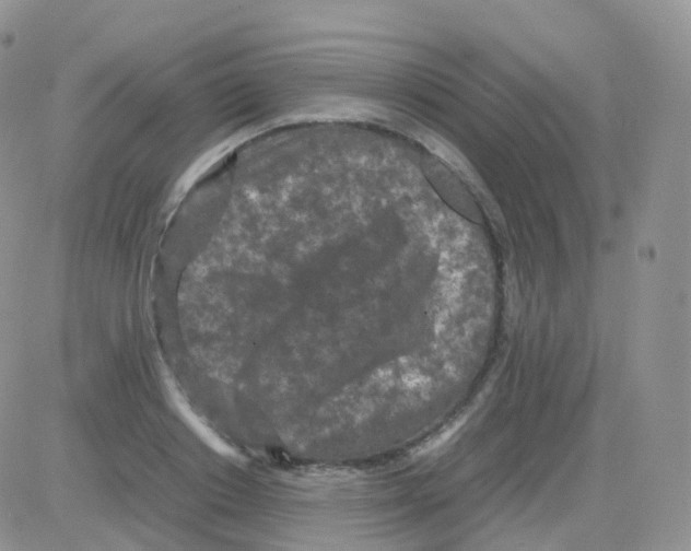 X0000082740842200702240011