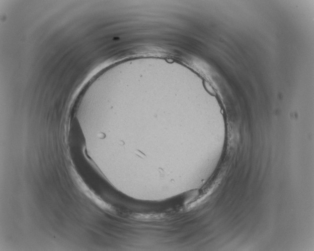 X0000082740843200702240011