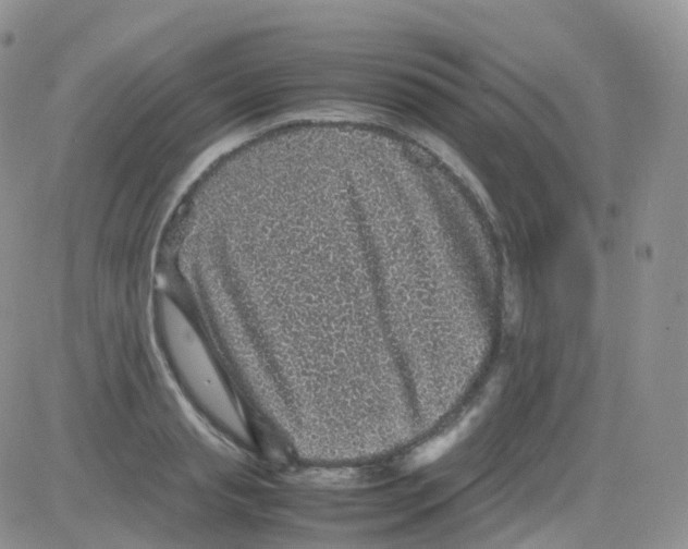 X0000082740845200702240011