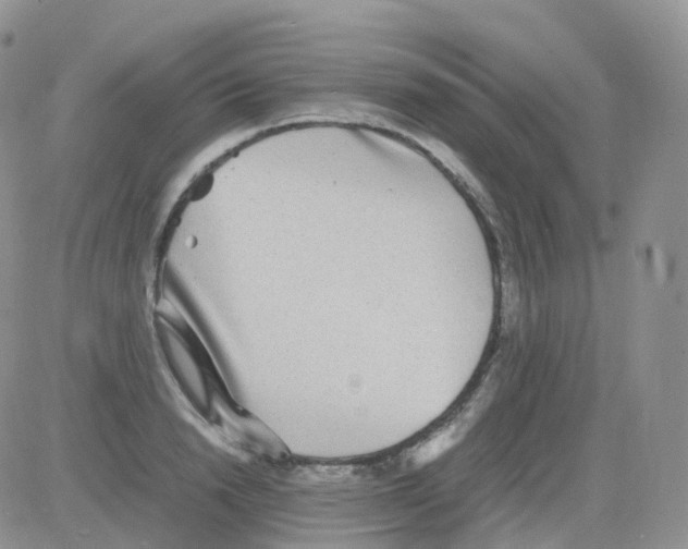 X0000082740846200702240011