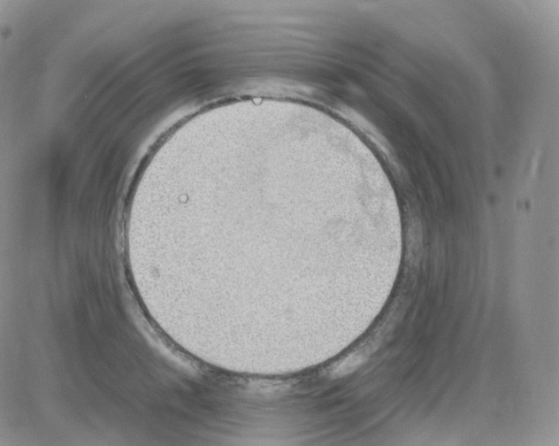 X0000082740848200702240011