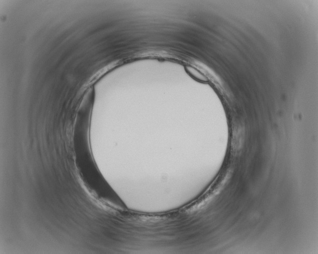 X0000082740849200702240011