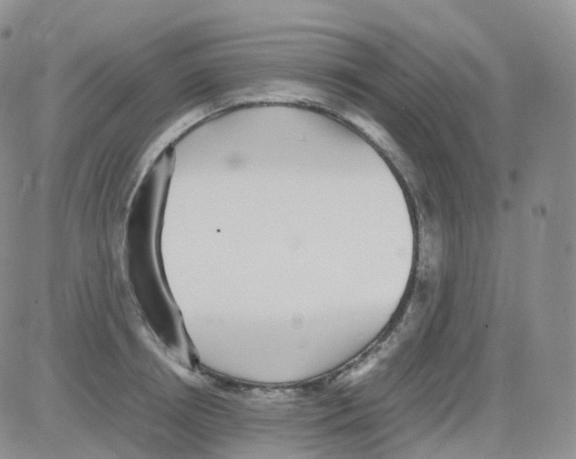 X0000082740850200702240011