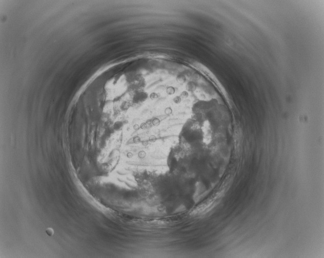 X0000082740851200702240011